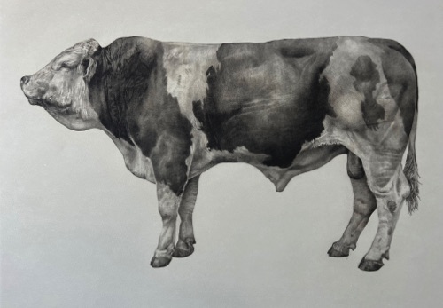 The Bull
Photopolymer Print 57 x 76
£380
